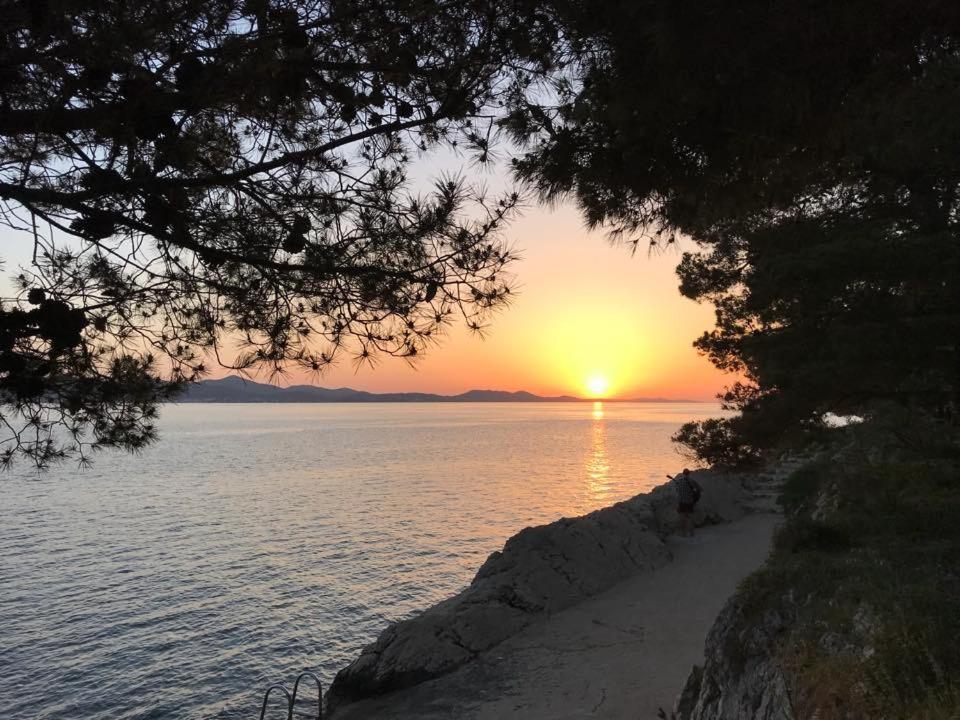 Apartment Pino Zadar Eksteriør billede